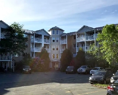 2 Bedroom - September 1 - Clayton Park Image# 1