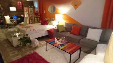 Beau studio au centre de St-leonard