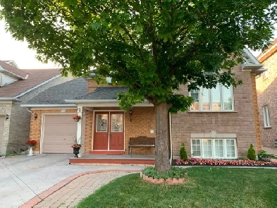 $1500 -1 Bedroom  BRIGHT 900 sq ft Basement Apartment (Brampton) Image# 10
