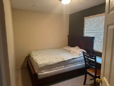 Great Room for Rent Image# 1
