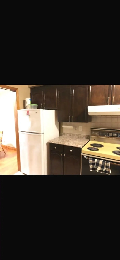 Female Student Rental, One Bedroom Available $ 495 Image# 5