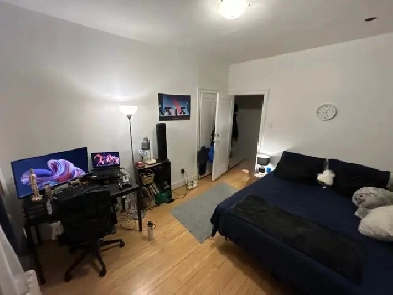 Roon near Snowdon metro (590 CAD) Image# 3