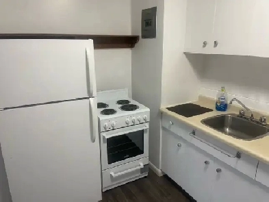 Affordable 1 Bedroom Suite Available for Rent  55  Apartment Image# 4