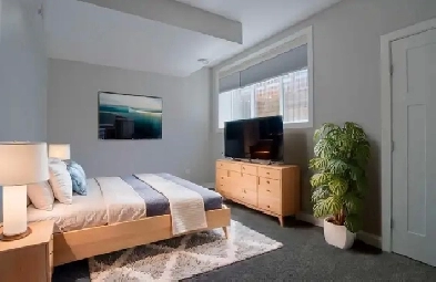 Furnished 1 Bed Basement Separate Entrance - All Inclusive Image# 4