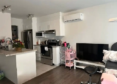 one bedroom apartment Image# 5