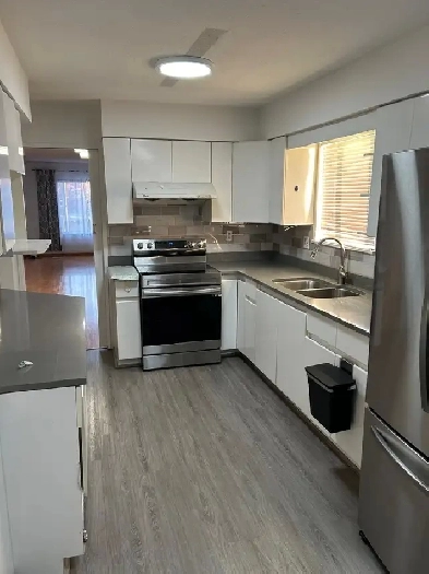 3 bed main floor in surrey Image# 17