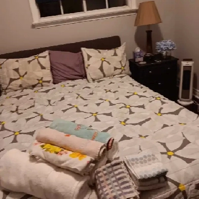 Room plus office for rent near Sheridan College Image# 1