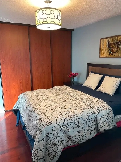 Luxuriously furnished room on the upper floor Image# 3