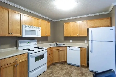 Furnished 1 Bedroom 1 Bathroom Condo for Rent in Gregoire Image# 7