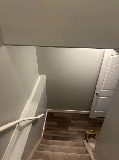 basement suite Image# 5