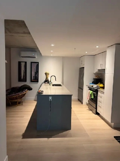 Cozy modern 1 bedroom in Lachine Image# 6