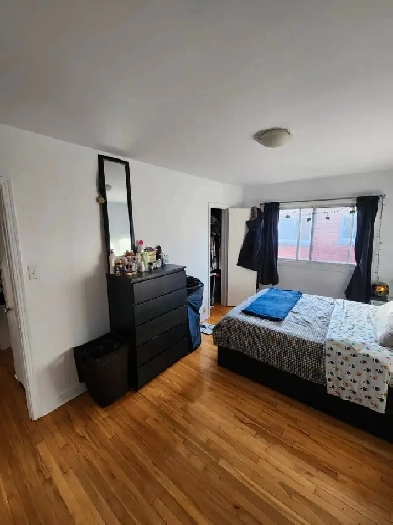 4 1/2 Renovated NDG 1,475$ October 1st (WiFi and Heat Pump) Image# 9
