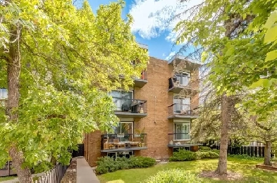 TOP FLOOR CONDO | DESIGNER TOUCHES | CLOSE TO AMENITIES Image# 2