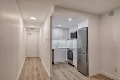 Renovated studio apartment near Concordia - ID 3895 Image# 6