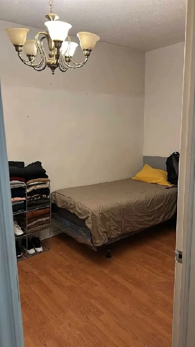 Furnished Room shared House all incl near Dufferin subway Image# 9