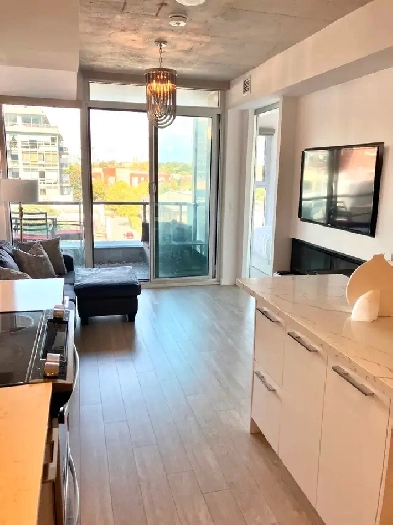 Luxurious furnished 2BD 2BTH w/balcony& rooftop pool downtown TO Image# 1