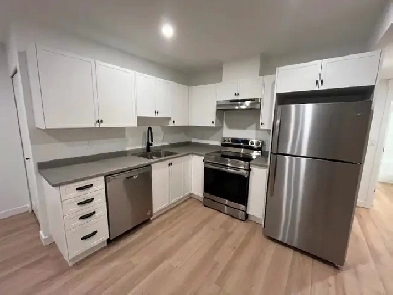 Langley - New Legal 2-Br Bsmt Suite For Rent Image# 9