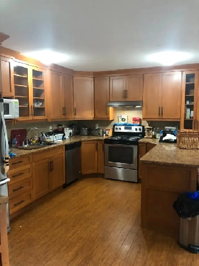 BEAUTIFUL 3 BEDROOM 2 BATH - RECENTLY RENOVATED Image# 3