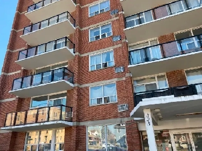 1BD APT- Heat Included - Giles Blvd Close to University Image# 1