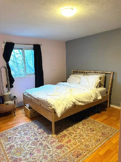 6 BR for Lease Rent Waterloo Walk to University UW WLU from 8.1 Image# 11