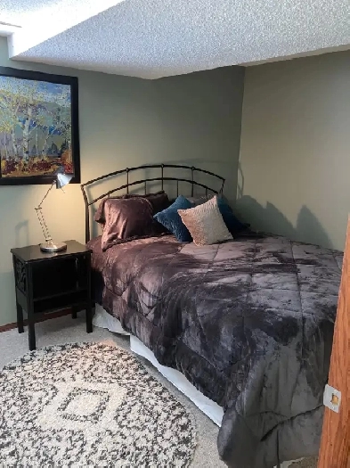 Bright, Private and Spacious Strathcona Park Walk Out