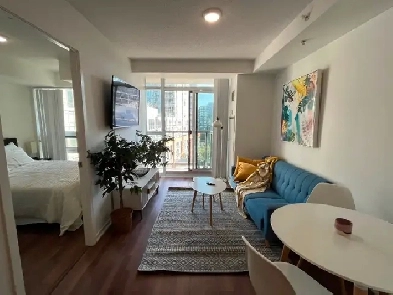 Furnished 1 1 on Queen West from Sept 1 internet &utilities incl Image# 1