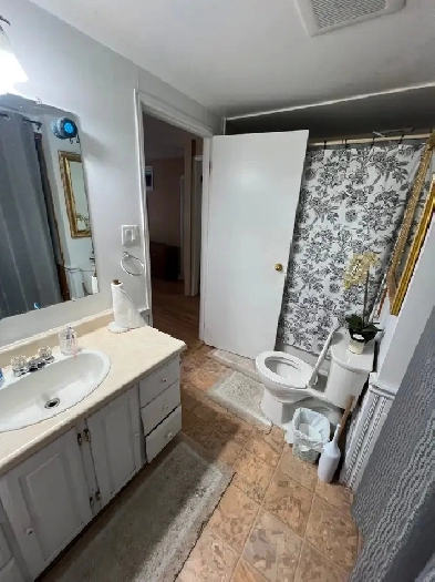 2 Bedroom Apartment near Ottawa River in Orleans Image# 5