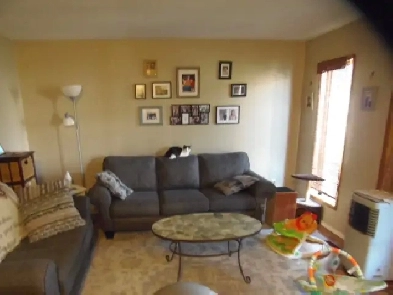 Three Bedroom Main floor house available August01/2025 Image# 1