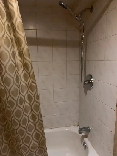 NICE and COZY  One-bedroom Apartment  for RENT Image# 1