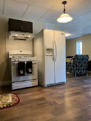 FULLY FURNISHED LOWER ONE BEDROOM APARTMENT Image# 1