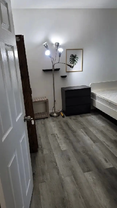 New, single, private & large bedroom near University Image# 1