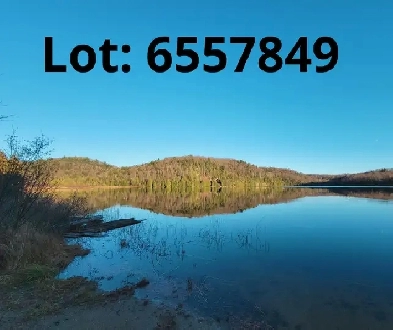 Terrain a Grenville sur la rouge 66 acres Image# 4