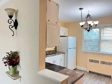 2 large bedrooms appartement for rent Image# 5