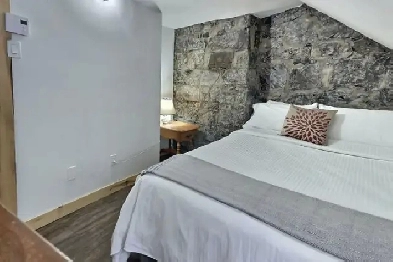 COLOCATION POUR FEMMES dans quartier ST-JEAN BAPTISTE Image# 1
