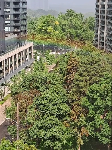 Sept 1st,   Sublease 1BR Full Unit FURNISHED DOWNTOWN Subway Image# 1