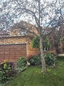 Master bedroom for rent walk to Erin Mills Town Centre Image# 5