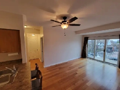 1 1 Condo For Rent in the Golden Mile- $2400 Image# 1