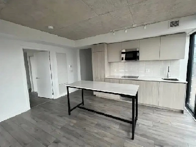 2b2b condo near TMU UTSG for rent Image# 1