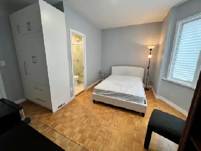 Downtown Updated Nice Room- Private Bath( M5T 1P3) Image# 5