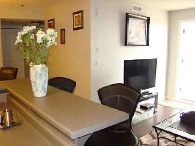 Furnished 2Bedroom 2Bathroom, in Stonebridge,Underground Parking Image# 10