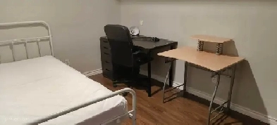 York university village room for rent Image# 1