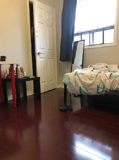 Bathurst Dundas one bedroom Available August 1st Image# 1