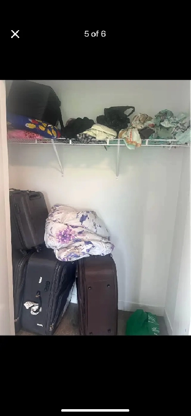 One bed and bath available in 2 bedroom apartment Image# 1