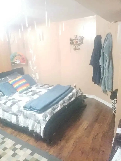 1 private  bedroom  available in 3 bedroom shared basement Image# 5