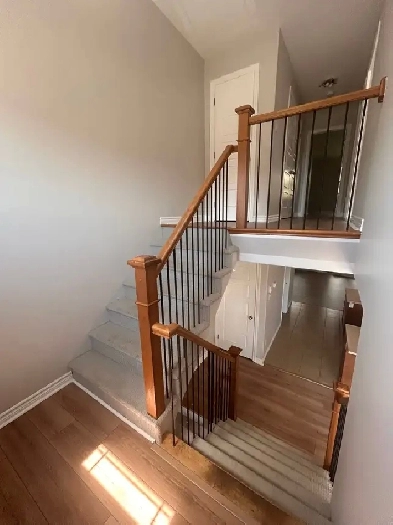 FOR RENT: 21 brewer crt Image# 5