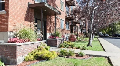 Magnifique 3 1/2 RÉNOVÉ à St-Lambert/ Longueuil Image# 2