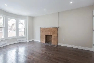 Renovated 2 Bedroom with private backyard: Bloor and Spadina Image# 8