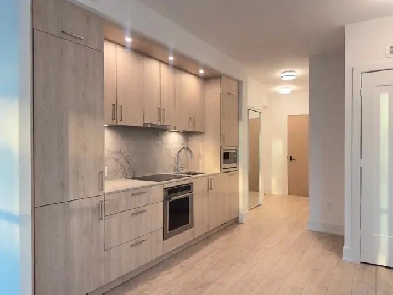 Brand New 1BD, 1BA Condo for Rent at Leslie and Eglinton Image# 4