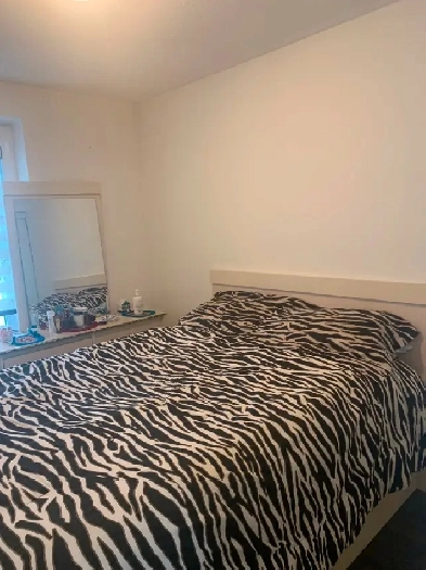 Room with own washroom for rent in Brampton Image# 4