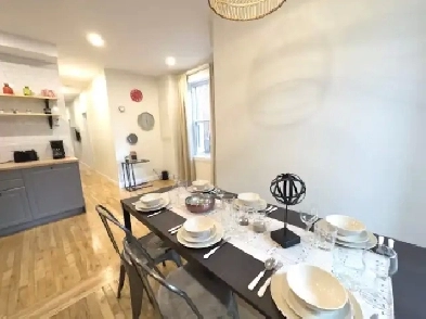 Logement 4 ½ meublé et cours privée, à 5min rue Masson Image# 8